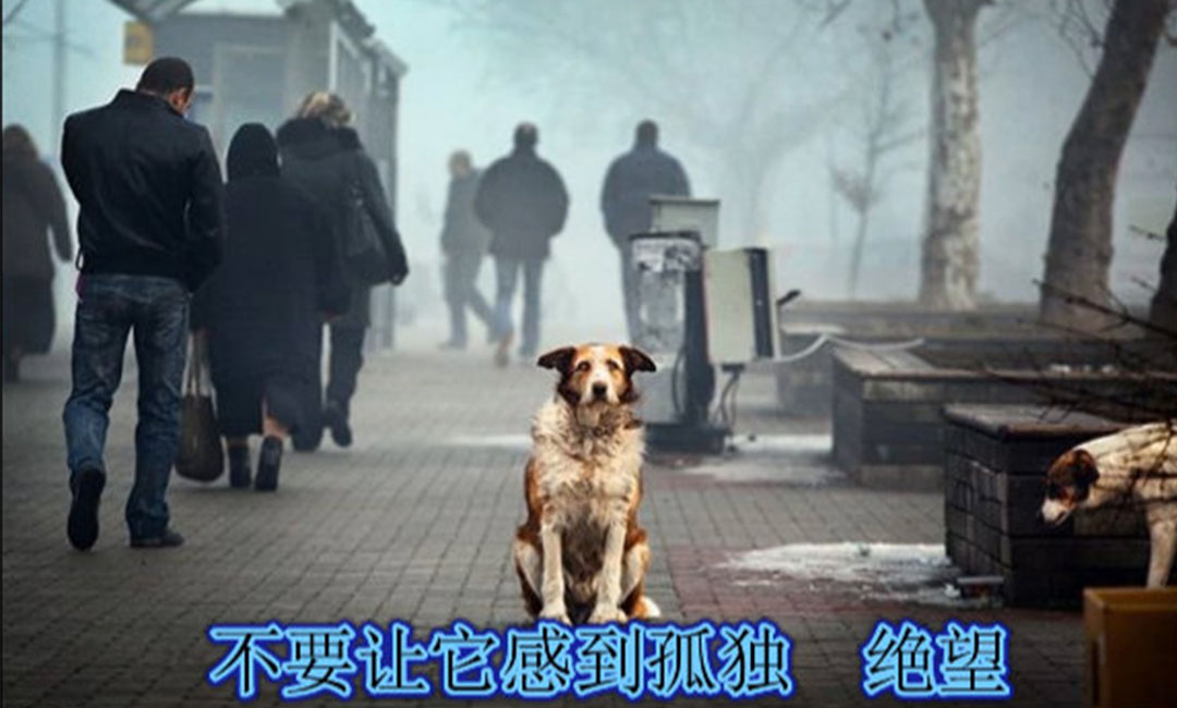 曲靖曲靖爱影圈微博微信转发案例